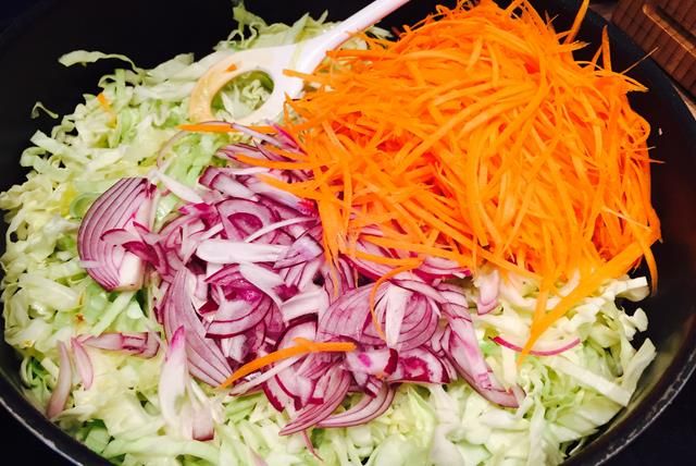 Pulled Pork Frühlingsrollen: Kreative Resteverwertung vom Grill – Foto 6